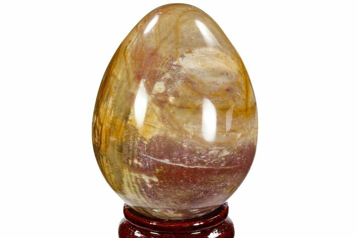 Colorful, Polished Petrified Wood Egg - Triassic #107385